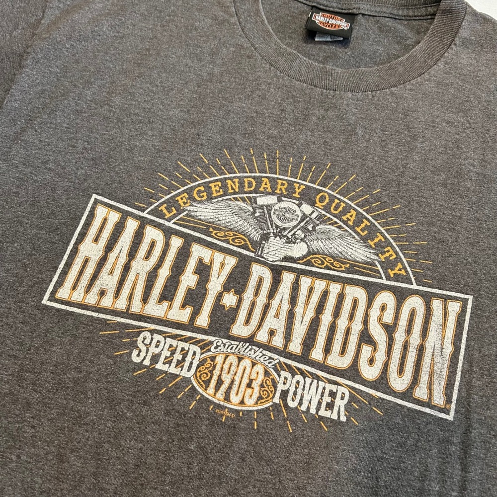 Harley-Davidson T-Shirt Mens L Charcoal Gray Legendary Quality Graphic Tee MI